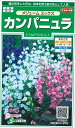 花種子 カンパニュラ「メジューム ミックス」 0.2ml(約180本分)(サカタのタネ) 【送料込み】 風鈴草 ふうりん草 フウリンソウ 乙女桔梗 おとめぎきょう キキョウ 釣鐘草 つりがね草 ツリガネグサ