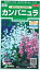 花種子　カンパニュラたね　『サカタのタネ』　カンパニュラ　メジュームミックス　0,2ml袋詰　【送料込み】　約180本分