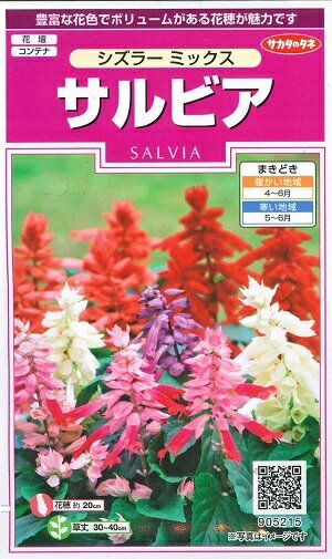 花種子 サルビア「シズラー ミックス」 0.3ml(サカタのタネ) 【送料込み】 セージ 緋衣草 ひいそう ヒイソウ 花壇 コンテナ