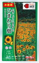 【お徳用】花種子 ひまわり畑「大輪一重咲黄色」40ml(タキイ種苗)【送料込み】