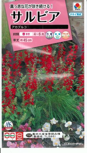 花種子 サルビア「アカプルコ」　0.1ml（タキイ種苗）　【送料込み】セージ／緋衣草／ひいそう／ヒイソウ