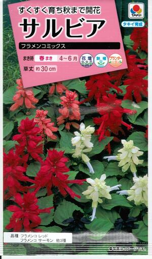 花種子 サルビア「フラメンコミックス」0.4ml(タキイ種苗) 【送料込み】セージ 緋衣草 ひいそう ヒイソウ FSR279