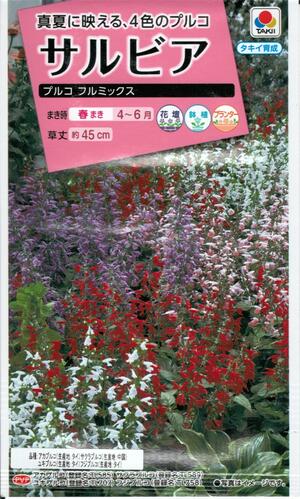 花種子 サルビア「プルコ フルミックス」 0.1ml(タキイ種苗) 【送料込み】プルコフルミックスセージ 緋衣草 ひいそう ヒイソウ FSR308