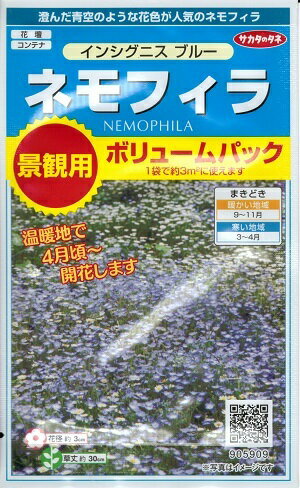 花種子　『サカタのタネ』　ネモフィラ　(インシグニス　ブルー)　2g袋詰　【送料込み】