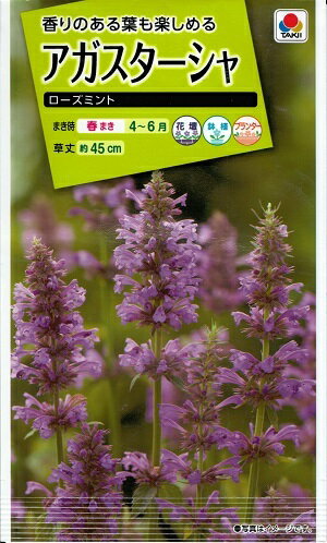 花種子　『タキイ種苗』　アガスターシャ　ローズミント　80粒袋詰　【送料込み】