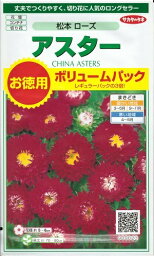 花種子　『　サカタのタネ　』　　　　　　アスター(松本　ローズ)　3ml袋詰　　【　送料込み　】