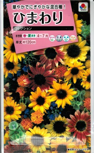 花種子 ひまわり「コレクション」　 2ml（タキイ種苗）　【送料込み】 向日葵／ヒマワリ