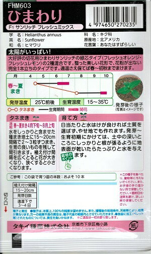 花種子 ひまわり「サンリッチ フレッシュミックス」　2.5ml（タキイ種苗）【送料込...