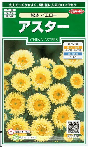 花種子 アスター「松本 イエロー」 1ml（サカタのタネ）【送料込み】 蝦夷菊／エゾギク／薩摩菊／サツマギク