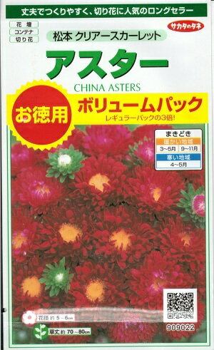 花種子　『　サカタのタネ　』　　　　　　アスター(松本　クリアースカーレット)　　3ml袋詰　【　送料込み　】