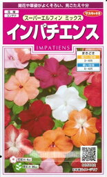 花種子　『　サカタのタネ　』　　　　　　インパチェンス(スーパーエルフィン　)　　25粒袋詰　【　送料込み　】