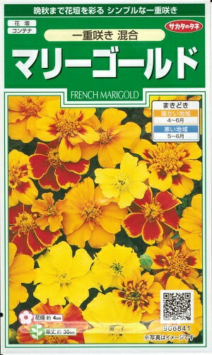 花種子　『　サカタのタネ　』　マリーゴールド(一重咲き　混合)　1.2ml袋詰　【　送料無料　】