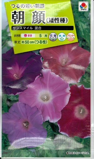 花種子　『　タキイ種苗　』　朝顔(矮性種　サンスマイル　混合)　1.5ml袋詰　【　送料込み　】のサムネイル