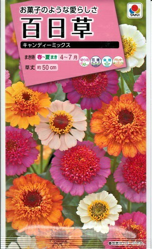 花種子 タキイ種苗 百日草 キャンディーミックス 30粒袋詰 【 送料込み 】