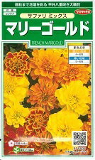 花種子　『　サカタのタネ　』　マリーゴールド(サファリミックス)　0.7ml袋詰　【　送料込み　】