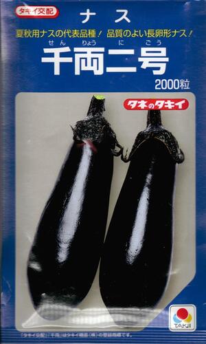 野菜種子　『茄子タネ』　タキイ交配　（タキイ種苗)　千両二号