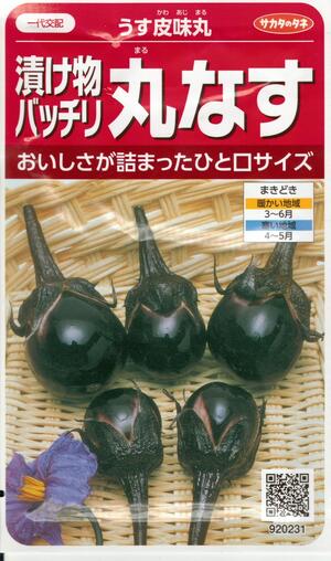 野菜種子 『茄子タネ』 一代交配 （サカタのタネ）うす皮味丸　70粒詰　/　20ml詰　 【送料込み】