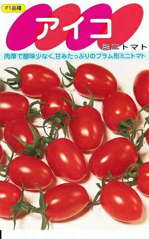 野菜種子　ミニトマトたね　(サカタのタネ)　アイコ　17粒袋詰／100粒詰／500粒詰／1000粒詰／ペレット200粒詰　【送料込み】