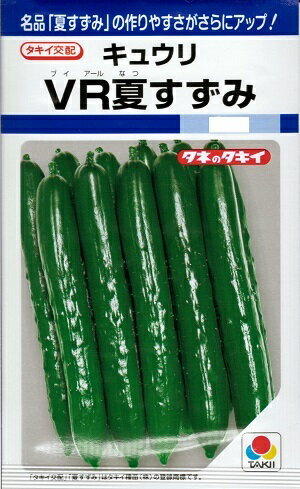 【人気品種】野菜種子 キュウリ「VR夏すずみ」13粒／50粒／100粒／200粒／350粒（タキイ種苗）　【送料込み】胡瓜／きゅうり／キュウリ