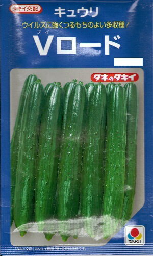 野菜種子　きゅうりたね　(タキイ種苗)　Vロード　10粒詰　/　50粒詰　/　100粒詰　/　200粒詰　/　350粒袋詰　【送料込み】