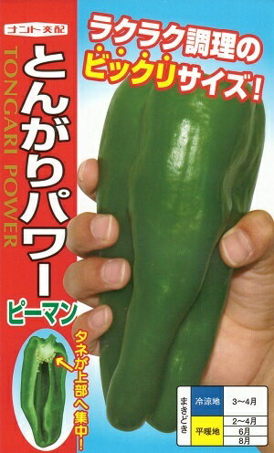 野菜種子 ピーマンたね ナント種苗 とんがりパワー 20粒詰 / 100粒詰 / 250粒詰 / 500粒詰 【送料込み】