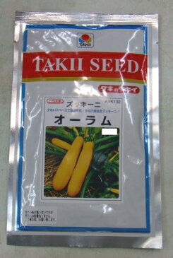 野菜種子　『ズッキーニタネ』　タキイ交配　（タキイ種苗）　オーラム　500粒袋詰　【送料込み】