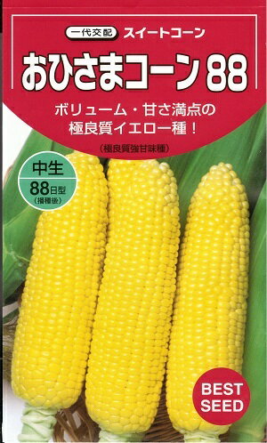 野菜種子　トウモロコシ種　『タキイ種苗』　おひさまコーン88　48粒詰　/　200粒詰　/　500粒詰　/　2000粒詰　【送料込み】