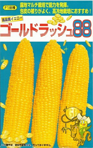 野菜種子　トウモロコシ種　『サカタのタネ』　ゴールドラッシュ88　55粒詰　/　200粒詰　/　500粒詰　/　2000粒詰　【送料込み】