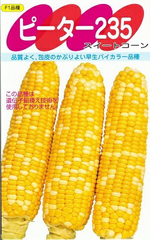 野菜種子　トウモロコシ種　『サカタのタネ』　ピーター235　55粒詰　/　200粒詰　/　500粒詰　/　2000粒詰　【送料込み】