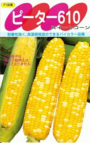 野菜種子　トウモロコシ種　『サカタのタネ』　ピーター610　55粒詰　/　200粒詰　/　500粒詰　/　2000粒詰　【送料込み】