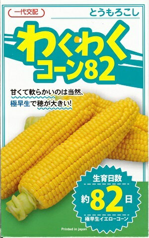 野菜種子　トウモロコシ種　『カネコ種苗』　わくわくコーン82　100粒詰　/　500粒詰　/　2000粒詰　【送料込み】