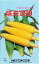 野菜種子　トウモロコシ種　『パイオニア　エコサイエンス』　味来390　150粒詰　/　2000粒詰　【送料込み】