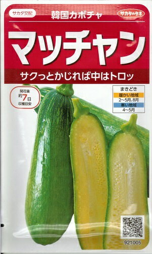 野菜種子　つるありズッキーニ種子　『　サカタのタネ　』　マッチャン　8粒袋詰　【　送料込み　】