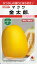 野菜種子 マクワウリ種 『 タキイ種苗 』 金太郎 30粒袋詰 【送料込み】 720円