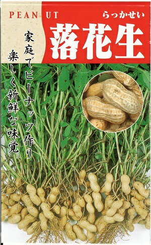 野菜種子 『タキイ種苗』 落花生 50ml袋詰 【送料込み】