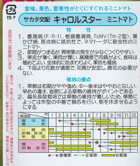 野菜種子 サカタのタネ ミニトマト種子 キャロルスター 1000粒袋詰 送料無料 鈴乃園 種子 店食味 果色 着果性が特に優れるミニトマト 野菜種子 サカタのタネ ミニトマト種子 キャロルスター 1000粒袋詰 送料無料 鈴乃園 種子 店食味 果色 着果性が特に優れるミニトマト