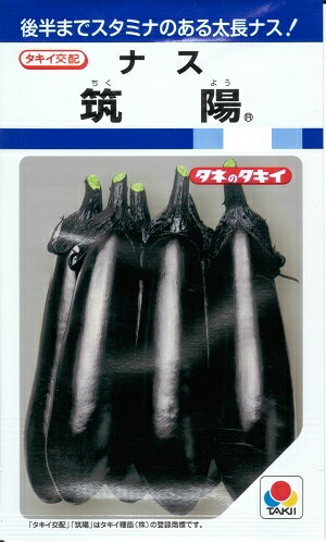 野菜種子 ナス「筑陽（ちくよう）」27粒／100粒／200粒／500粒／1,000粒（タキイ種苗）【送料込み】 茄子／なす