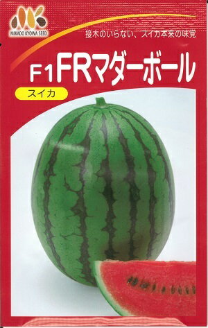 野菜種子 ヴィルモランみかど スイカ種子 FRマダーボール 10粒詰 / 200粒詰 【送料込み】