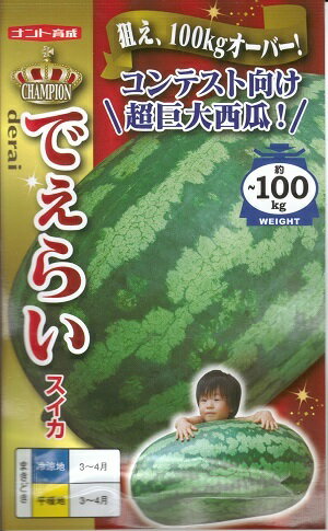 野菜種子 ナント種苗 スイカ種子 でぇらい 10粒詰 / 50粒詰 【送料込み】 コンテスト用縞皮