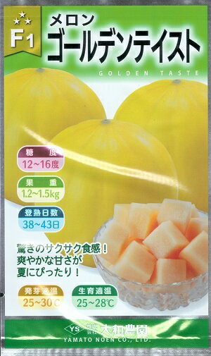 野菜種子 黄皮赤肉メ