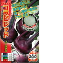 野菜種子　コールラビ種子(別名かぶカンラン)　「ナント種苗」　コラビレッド　60粒詰　【送料込み】