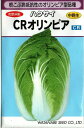 野菜種子　ハクサイたね　(渡辺採種場)　CRオリンピア　20ml袋詰　【送料込み】