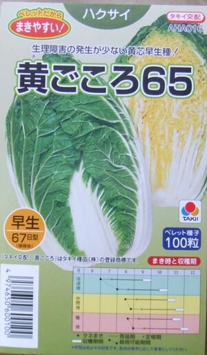 野菜種子　ハクサイたね　(タキイ種苗)　黄ごころ65　まきやすいペレット100粒詰　【送料込み】