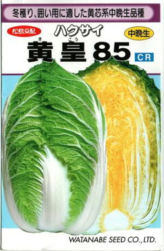 野菜種子　ハクサイたね　(渡辺採種場)　黄皇85　1.3ml袋詰　【送料無料】