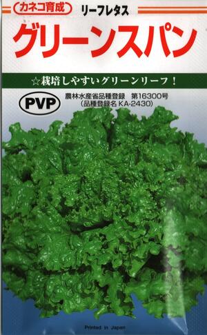 野菜種子 リーフレタス「グリーンスパン」 ペレット90粒/ペレット200粒/ペレット500粒/ペレット5,000粒(カネコ種苗)【送料込み】萵苣 ちしゃ チシャ 耐暑性 晩抽性 高秀品率 農林水産省登録品種(品種名:KA-2430)
