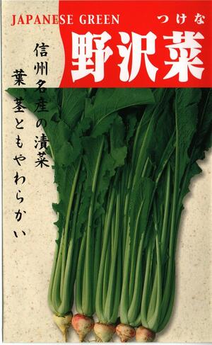 野菜種子　ツケナ　(渡辺採種場)　野沢菜　20ml詰　