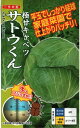 野菜種子 キャベツ「サトウくん」 コ−ト40粒/コ−ト5,000粒(ナント種苗) 【送料込み】