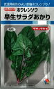 野菜種子　ホウレンソウたね　(タキイ種苗)　早生サラダあかり　1dl袋詰　【送料込み】