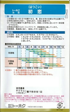 野菜種子　キャベツ種　『　トーホク　』　初恋　Lコート5000粒缶詰　【　送料無料　】