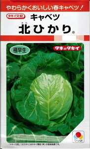 野菜種子　キャベツ種　『タキイ種苗』　北ひかり　0．9ml袋詰　【送料込み】